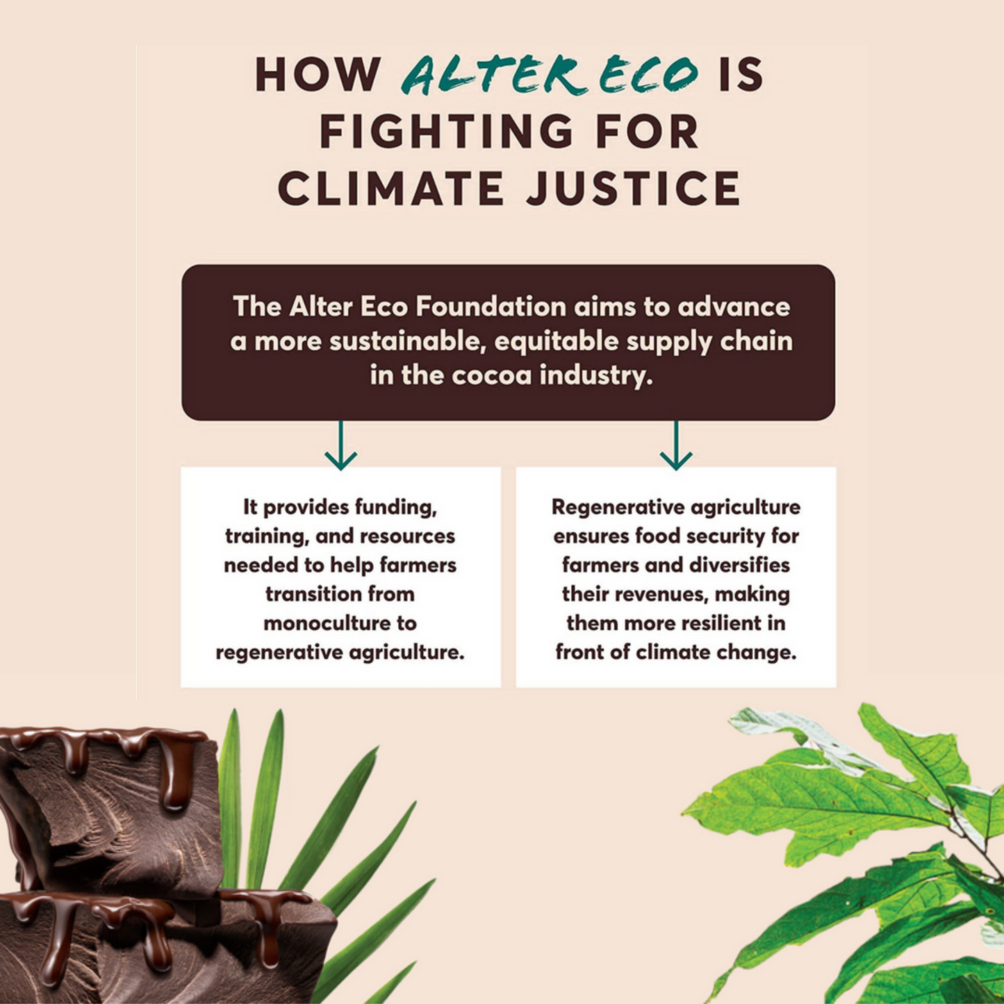 Alter Eco Chocolate 80g, Dark Sea Salt Flavour 70% Cacao, Certified Organic