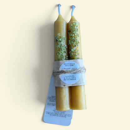 Soulforest Healing Peridot Beeswax Dinner Candle Pair 6 Hour Burn, Prosperity & Abundance