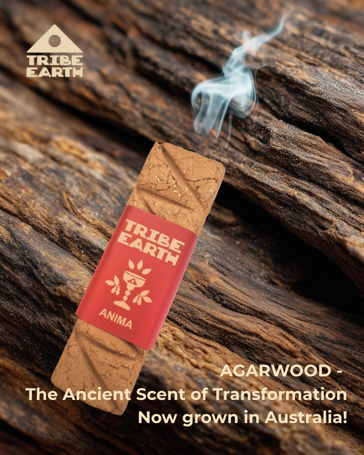 Tribe Earth Anima Incense Plank | 10 Triangles Per Plank, With 100% Australian Agarwood