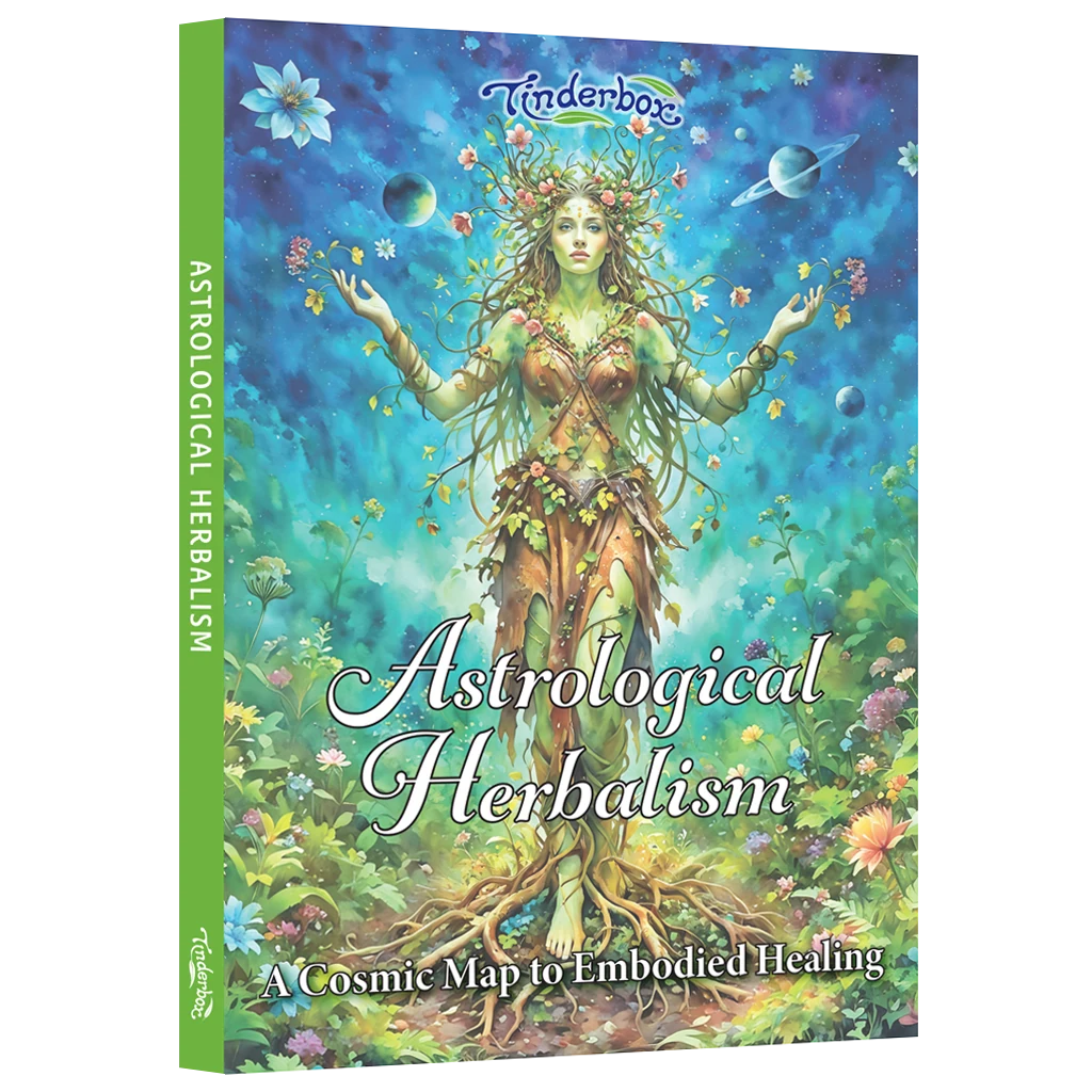 Tinderbox Astrology Herbalism Book, A Cosmic Map To Embodied Healing