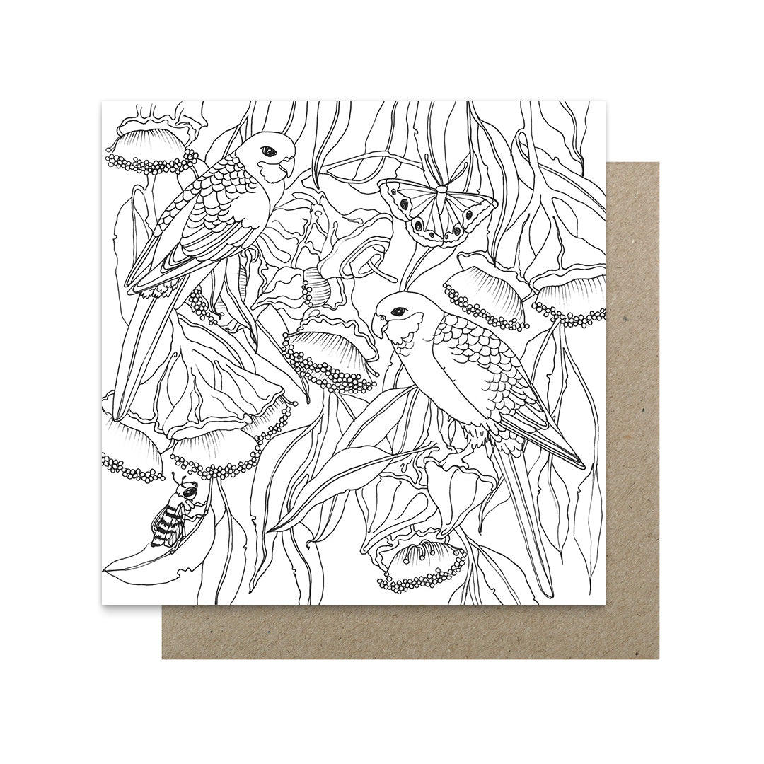 Earth Greetings 6 Greeting Colouring Cards, Wild Australia Design From The Victoria McGrane Collection