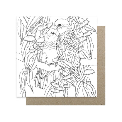 Earth Greetings 6 Greeting Colouring Cards, Wild Australia Design From The Victoria McGrane Collection