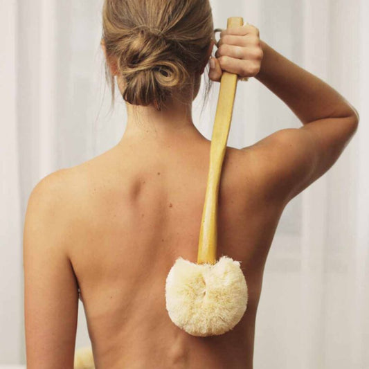 Eco Max Back Brush With Long Handle, Perfect Back Scrub!