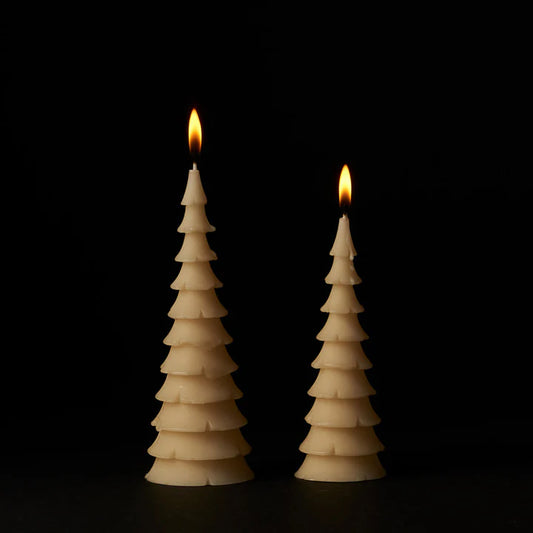 Queen B Pure Australian Beeswax Fir Trees Candles (2) - A Black Label Gift Box, +/-10 Hours Burn Time