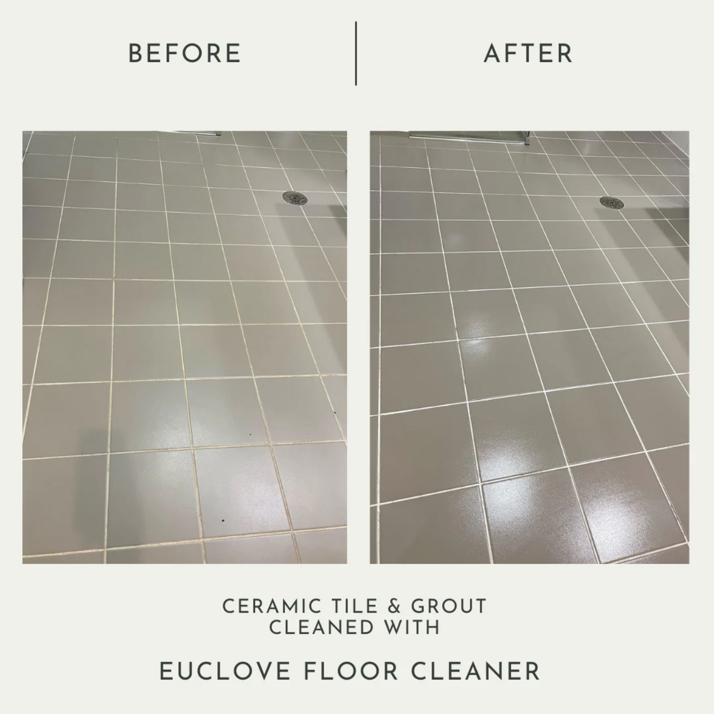 Euclove Floor Cleaner 50ml, 500ml or 1L