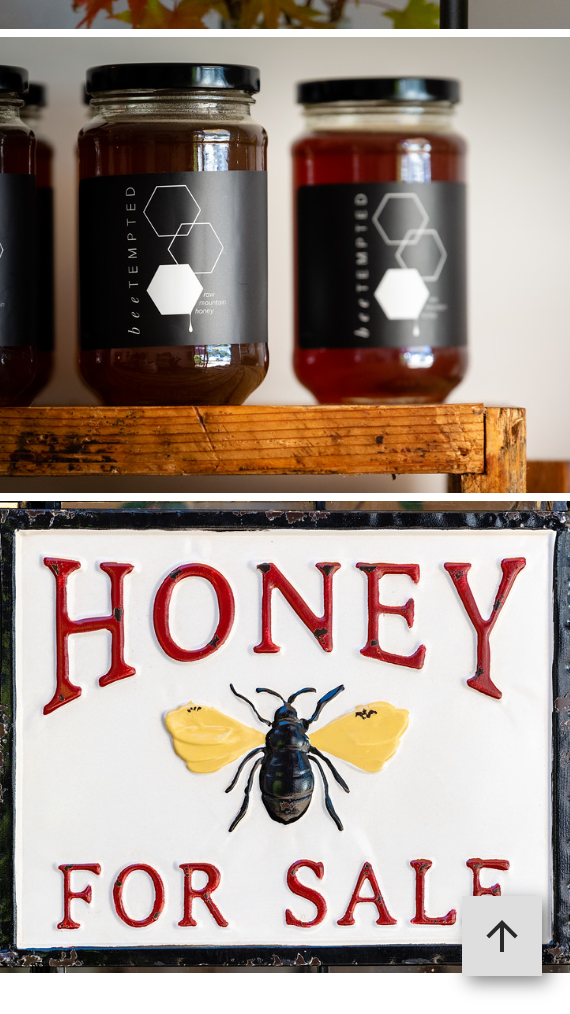 Bee Tempted Raw Mountain Honey 500g, Blood Wood