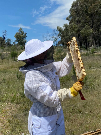 Bee Tempted Raw Mountain Honey 500g, Blood Wood