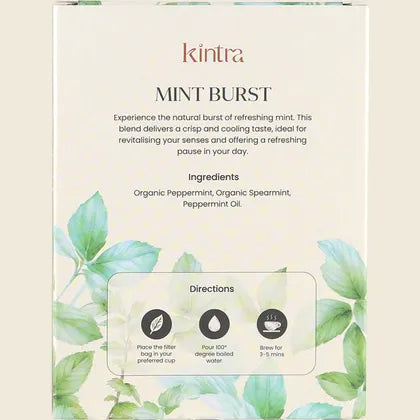 Herbal Tea Bags Mint Burst 25pk, Cool Mint Clarity
