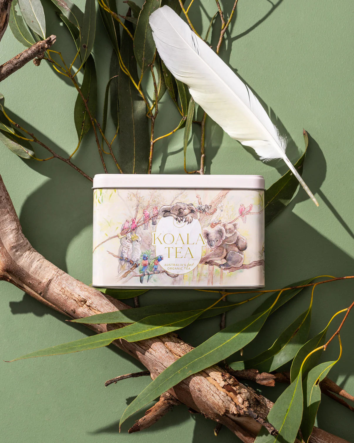 Koala Tea Certified Organic Byron Bay Gift Pack 25 Bags, A Taste Of Australia