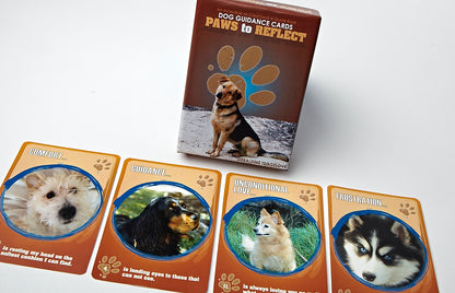 Dog Guidance Cards PAWS TO REFLECT, By Geraldine Teggelove