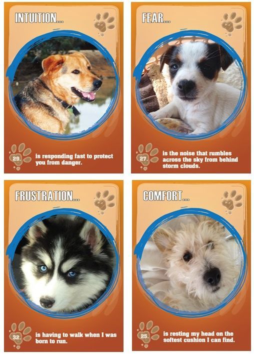 Dog Guidance Cards PAWS TO REFLECT, By Geraldine Teggelove
