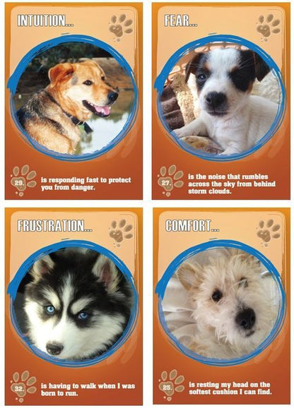 Dog Guidance Cards PAWS TO REFLECT, By Geraldine Teggelove