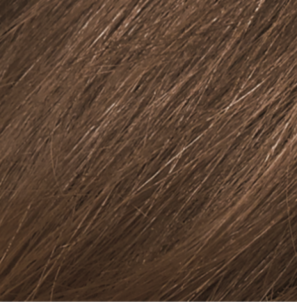 Naturtint Permanent Hair Colour Gel; No Ammonia 170mL, 6G Dark Golden Blonde