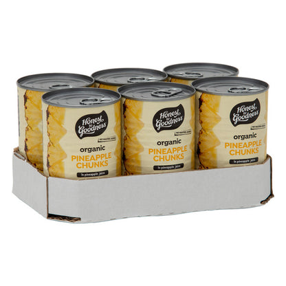 Honest To Goodness Pineapple Chunks in Pineapple Juice 420g, Certified Organic