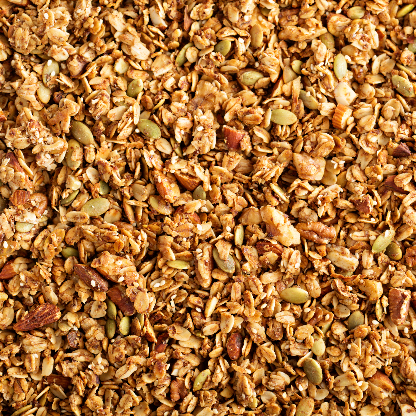 Health Nuts Organic Dehydrated Granola 500g