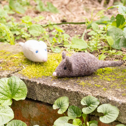 Eco Max Pounce & Play Wool Toy, Please Select Your Colour