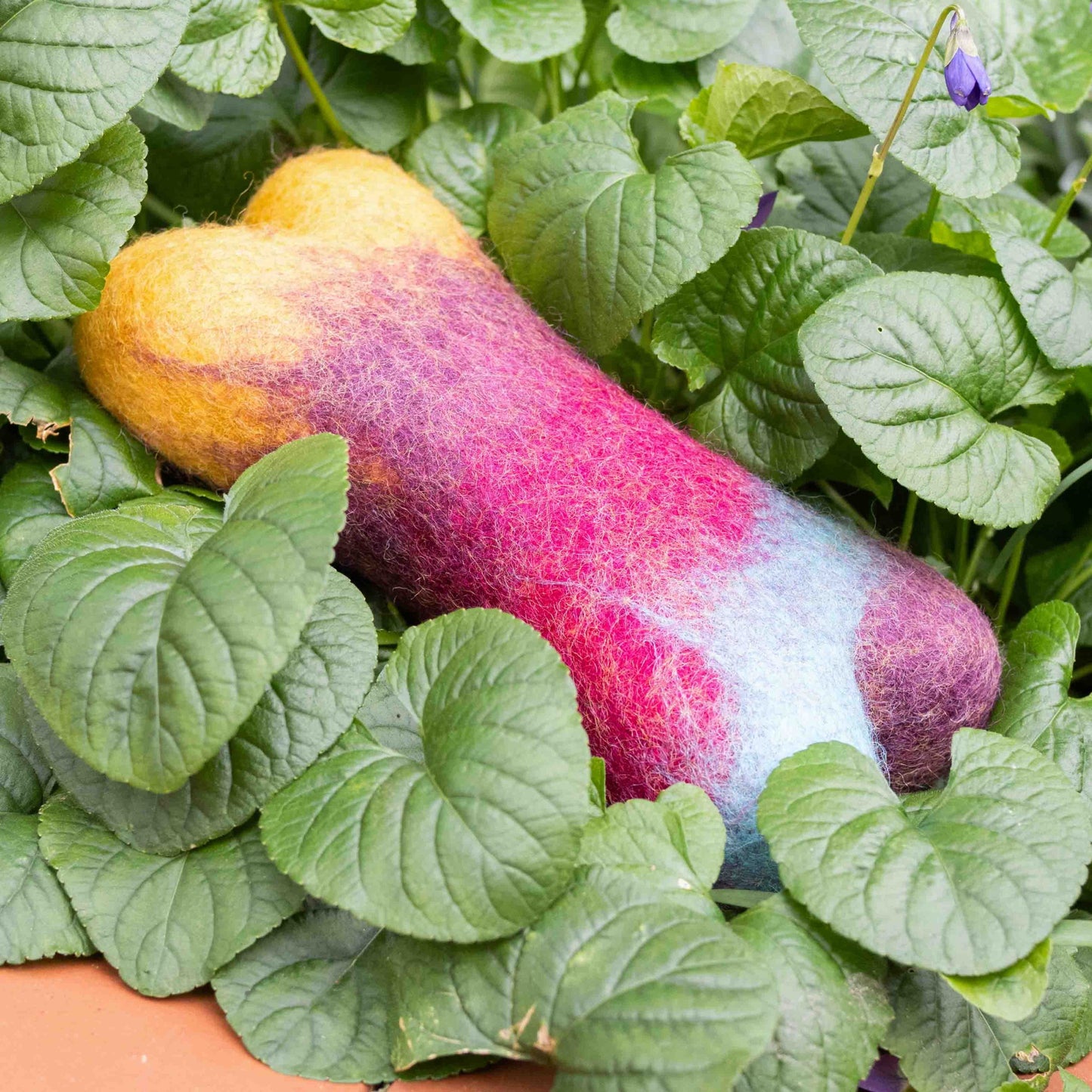 Eco Max Chew & Play Small Wool Toy, Please Select Your Pattern