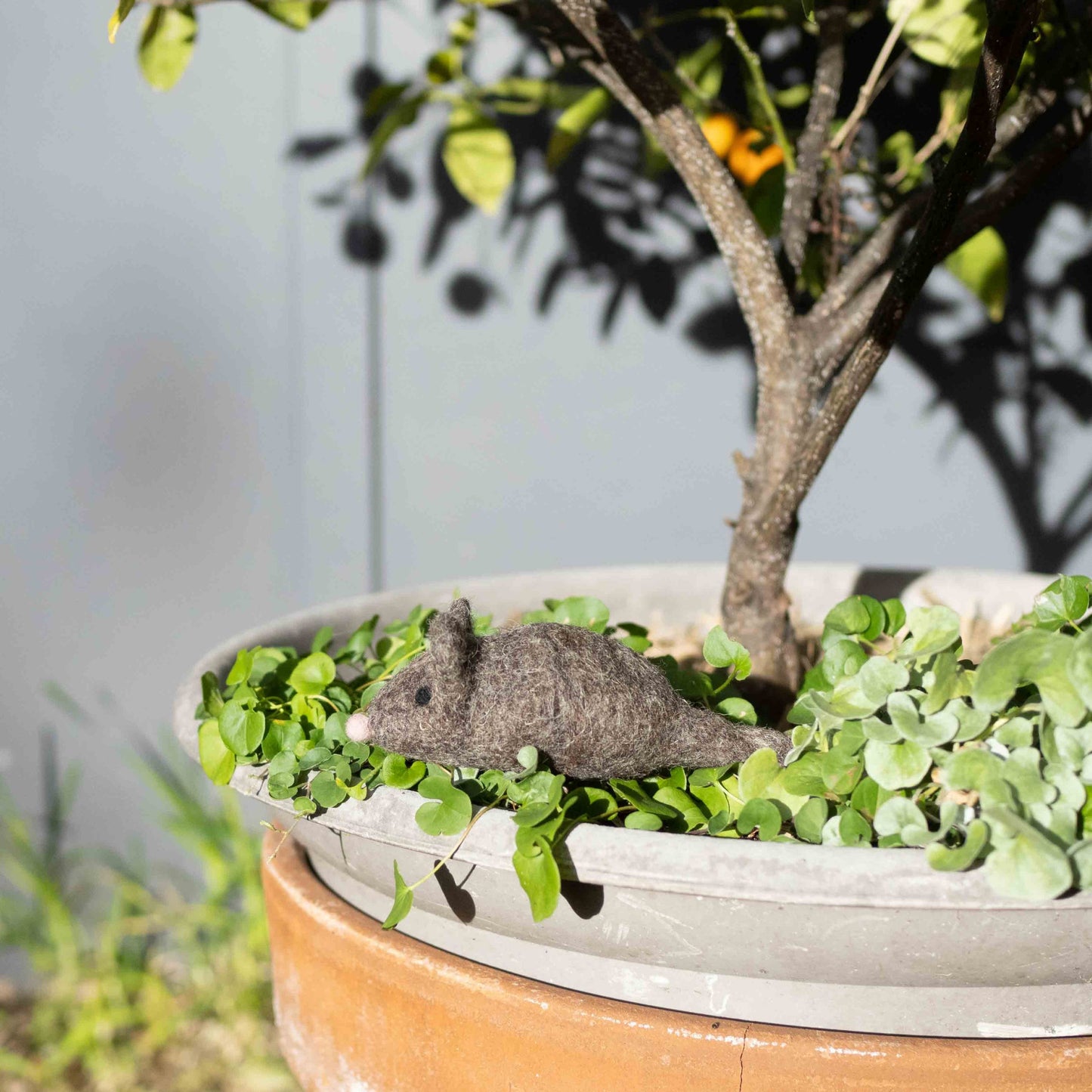 Eco Max Pounce & Play Wool Toy, Please Select Your Colour