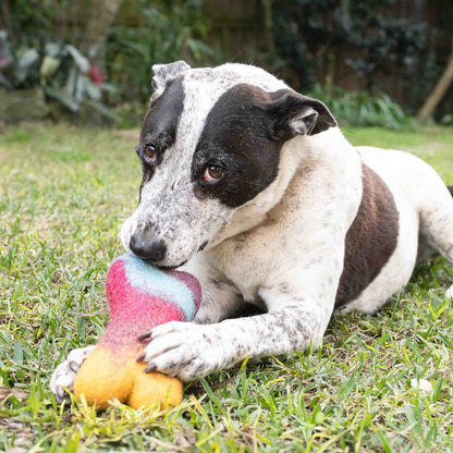 Eco Max Chew & Play Large Wool Toy, Please Select Your Pattern