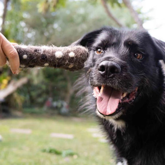 Eco Max Chew & Play Small Wool Toy, Please Select Your Pattern
