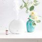 Lively Living Diffuser Aroma Moon