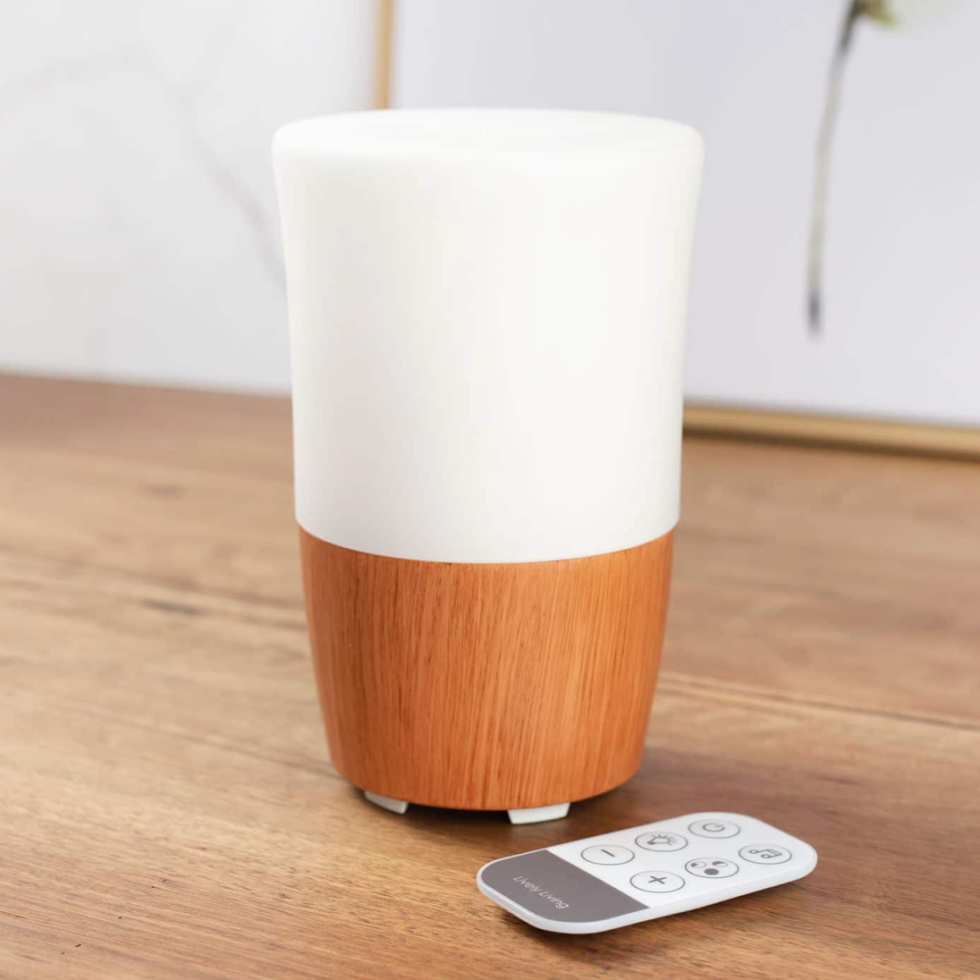 Lively Living Diffuser Aroma Sound {Music Diffuser}
