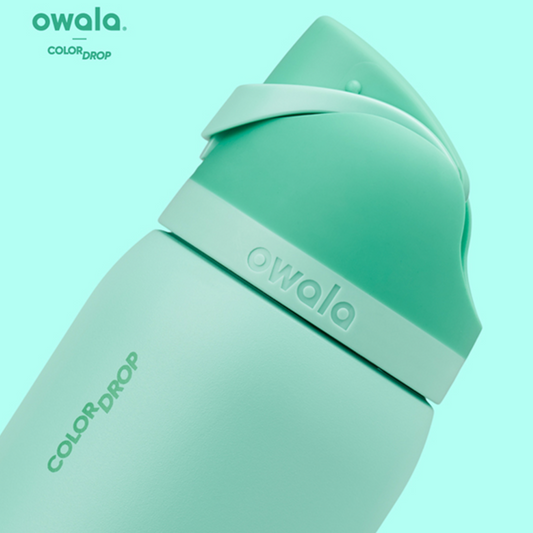 Owala FreeSip Stainless Steel Water Bottle 32oz, Freeze The Day