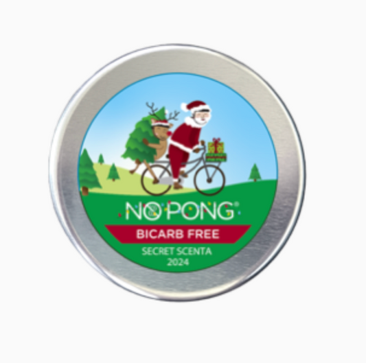 No Pong Bicarb Free Anti Odourant 35g, Secret Santa Fragrance