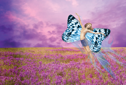 Tinderbox Natural Moth Free Essential Oil 15mL, Repels Moths & Silverfish