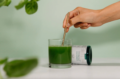 Phytality Plant-Based Fermented Chlorella Powder 120g, With The Highest Purity & Bioavailability