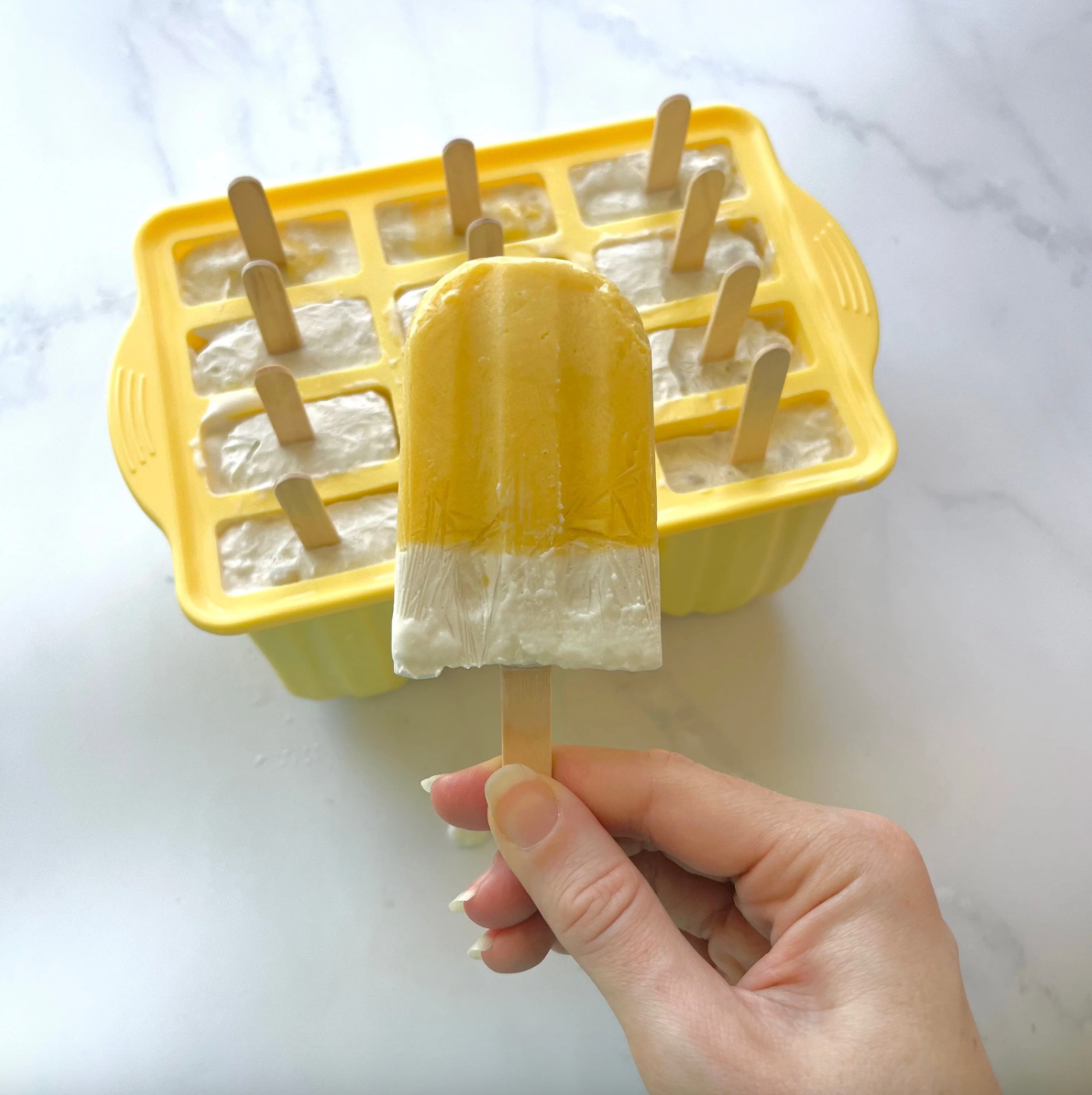 Ever Eco Silicone Popsicle Mould Tray Of 12, With Popsicle Sticks Included