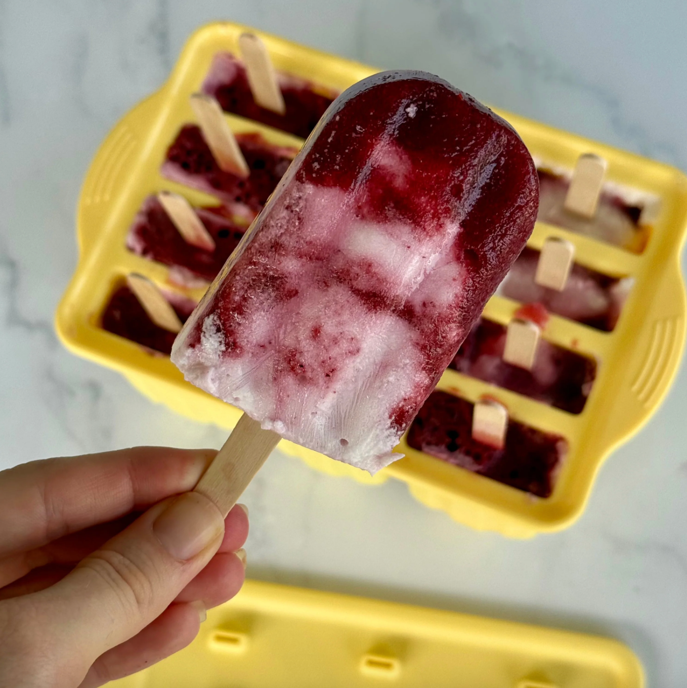 Ever Eco Silicone Popsicle Mould Tray Of 12, With Popsicle Sticks Included