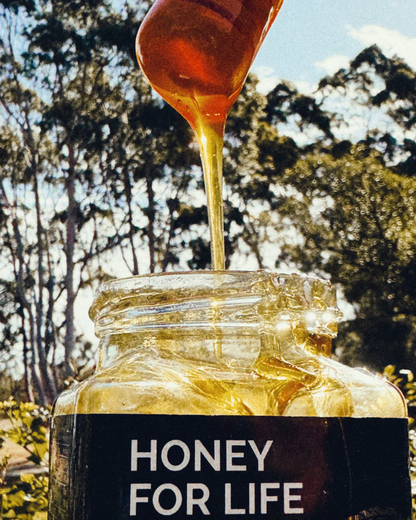 Honey For Life Jarrah Active Honey TA35+ 260g, High Antibacterial Strength