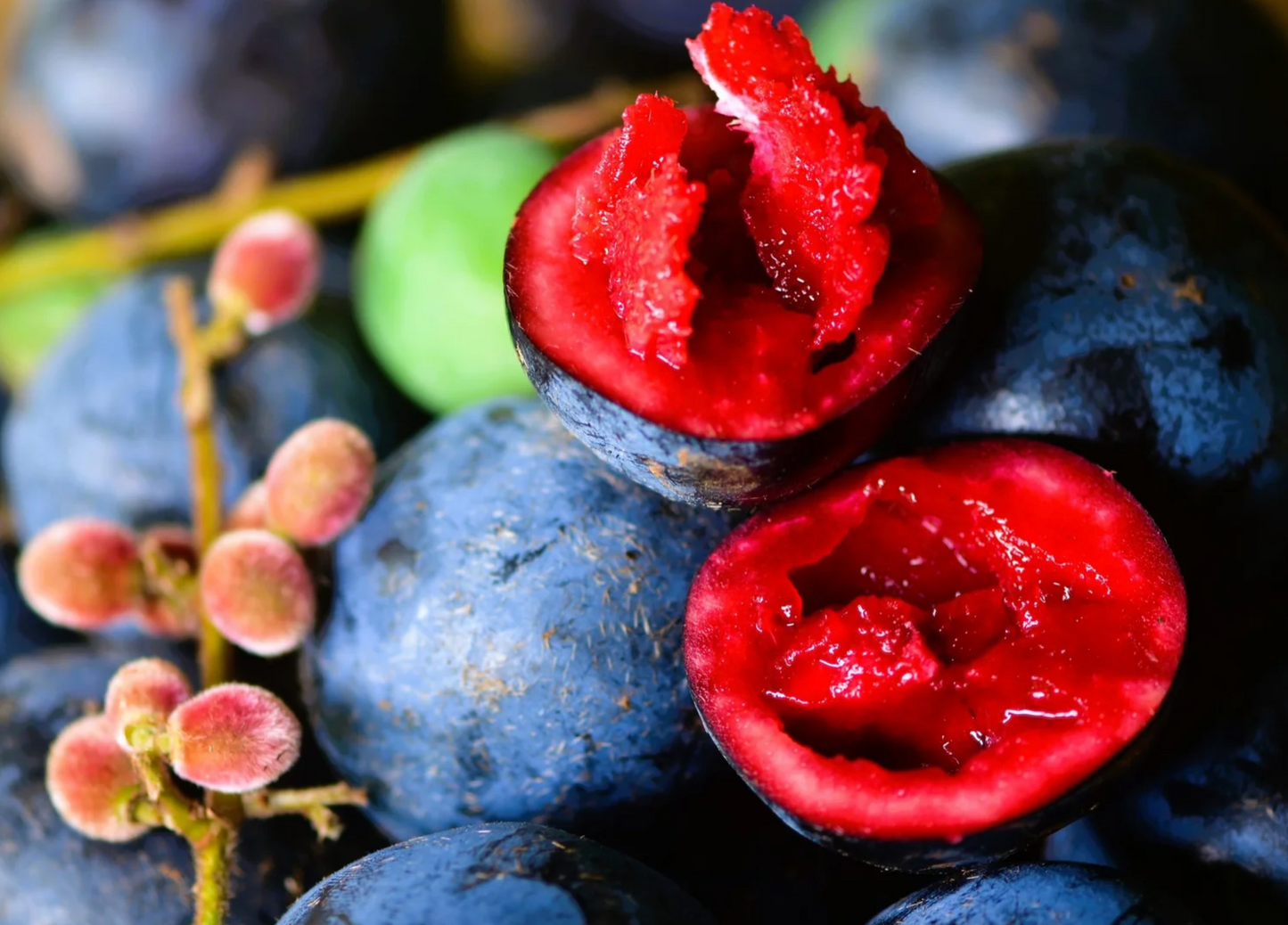 Ziggy's Wild Foods Native Davidson Plum & Rose Petal Shrub Cordial 200mL, Fermented & Gluten Free
