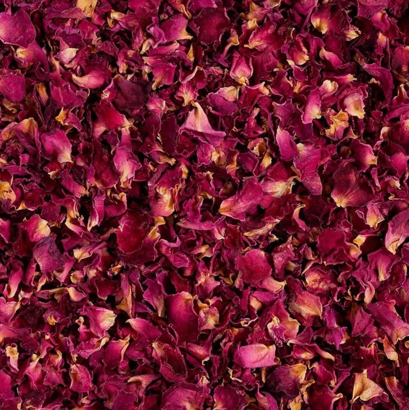 Ziggy's Wild Foods Native Davidson Plum & Rose Petal Shrub Cordial 200mL, Fermented & Gluten Free
