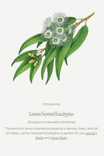 Koala Eco Gift Collection Hand Care 2Pack, Lemon Eucalyptus & Rosemary Essential Oil