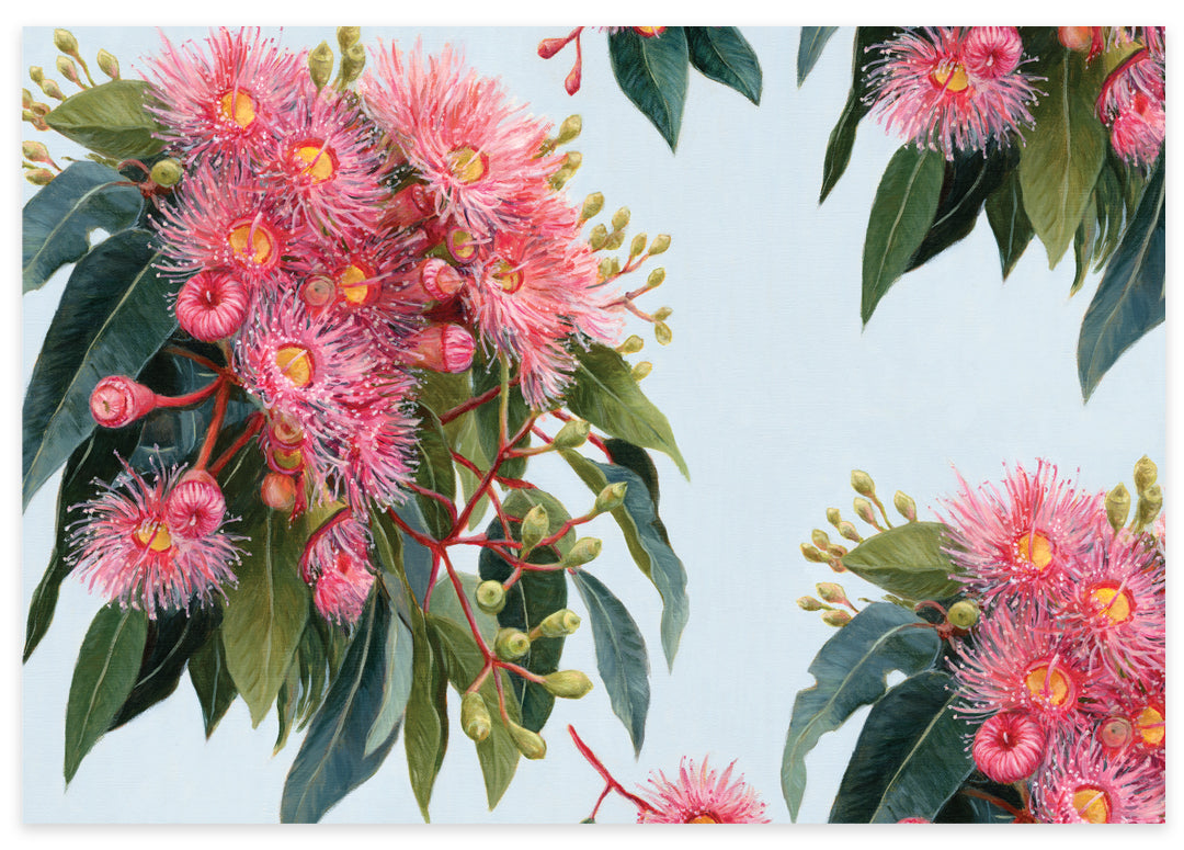 Earth Greetings Summer Gumflowers Australian Folded Wrapping Paper, Vickie Liu Collection