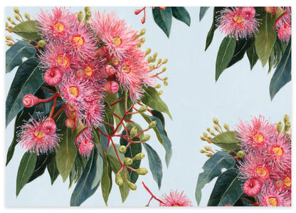 Earth Greetings Summer Gumflowers Australian Folded Wrapping Paper, Vickie Liu Collection