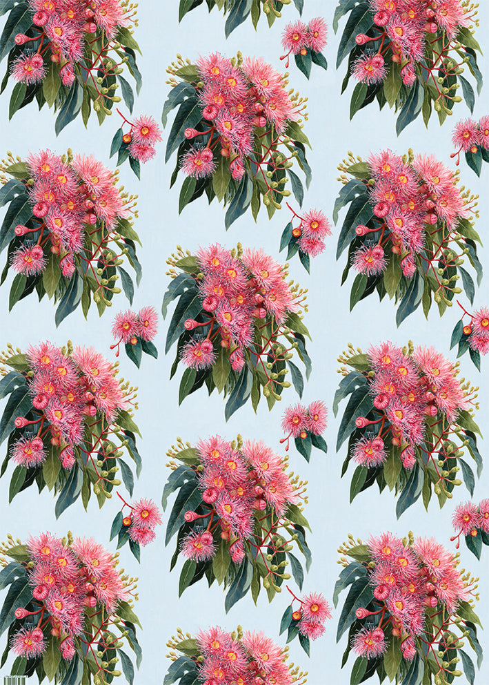 Earth Greetings Summer Gumflowers Australian Folded Wrapping Paper, Vickie Liu Collection