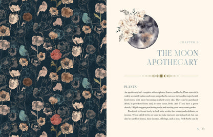 Lorraine Anderson The Moon Apothecary Book, Rituals & Recipes For The Lunar Phases