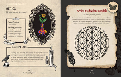 Priestess Moon Witch's Magickal Spellbook, An Interactive Grimoire With Stickers & Secret Pockets