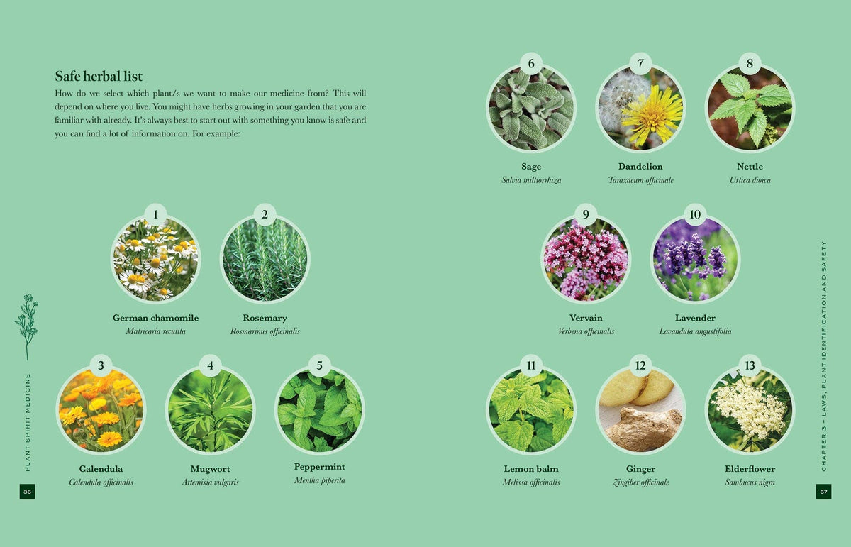 Nicola McIntosh Plant Spirit Medicine Book, A Guide To Healing From Nature