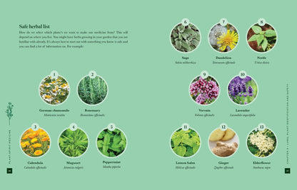 Nicola McIntosh Plant Spirit Medicine Book, A Guide To Healing From Nature