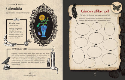 Priestess Moon Witch's Magickal Spellbook, An Interactive Grimoire With Stickers & Secret Pockets