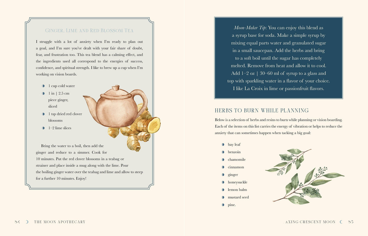 Lorraine Anderson The Moon Apothecary Book, Rituals & Recipes For The Lunar Phases