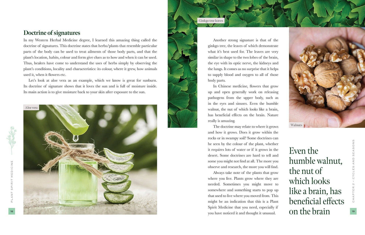 Nicola McIntosh Plant Spirit Medicine Book, A Guide To Healing From Nature