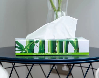 The Cheeky Panda Bamboo Facial Tissue, 80 Sheets