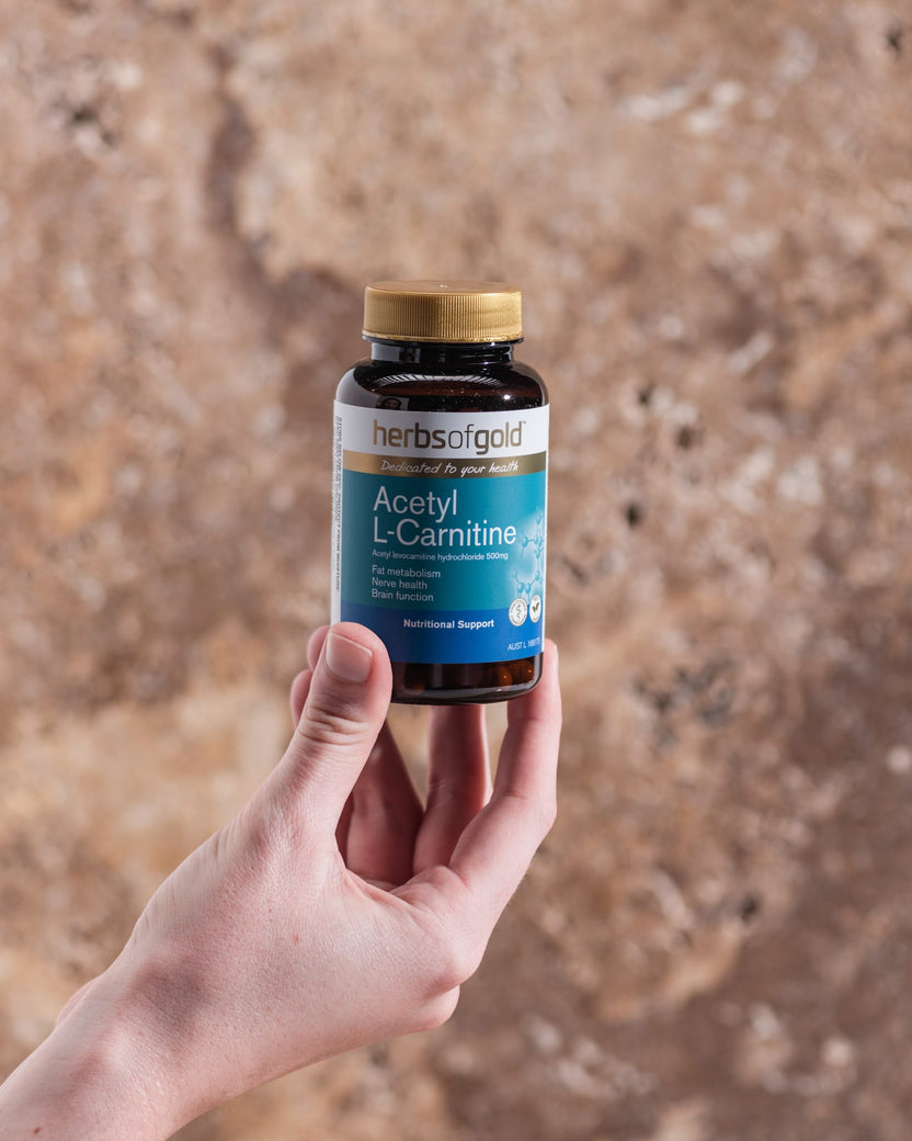 Herbs Of Gold Acetyl L-Carnitine, 60 Or 120 VegeCapsules (Vegan) Health Nuts Australia Herbs Of Gold Acetyl L-Carnitine, 60 Or 120 VegeCapsules (Vegan) Health Nuts Australia