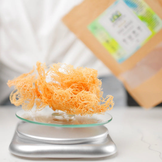 Natures Farmer Raw Gold Sea Moss 100g, Make It Yourself!