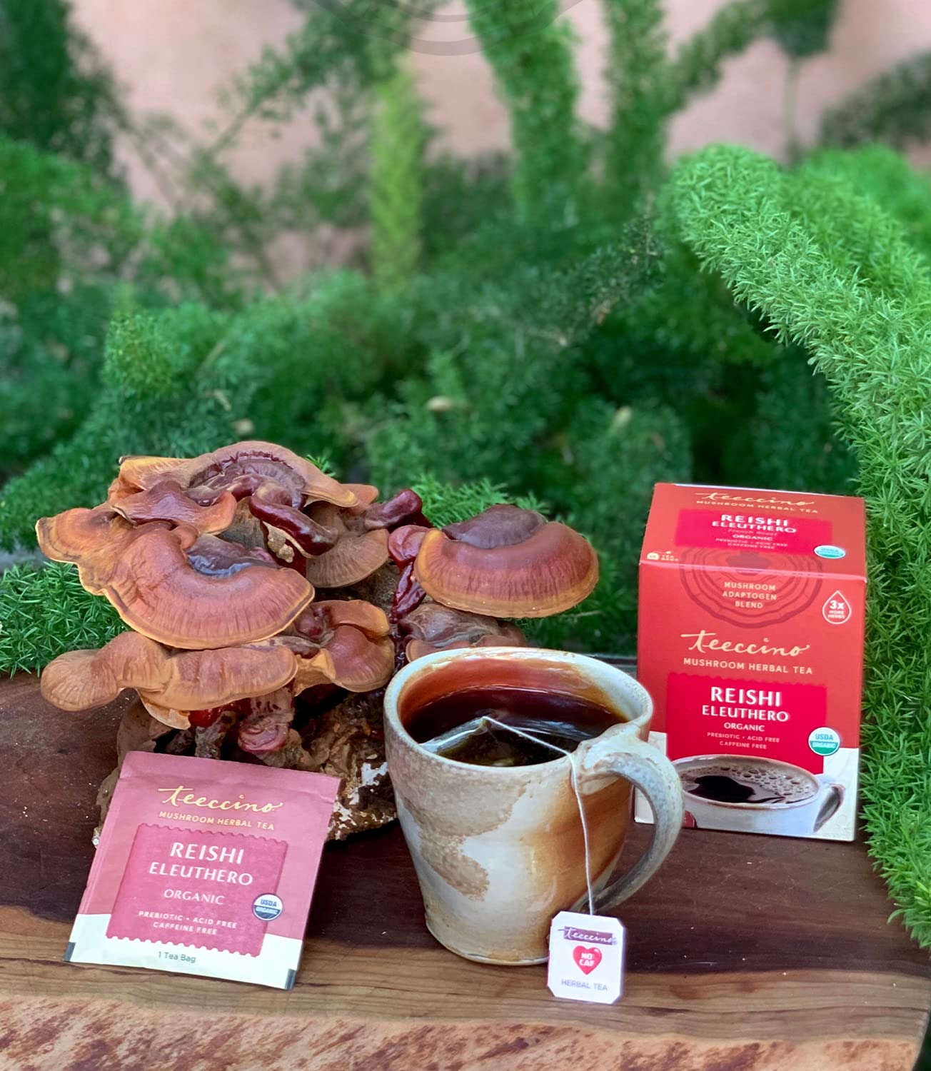 Teeccino Mushroom Herbal Tea 10 Tea Bags, Reishi Eleuthro Flavour Caffeine-Free